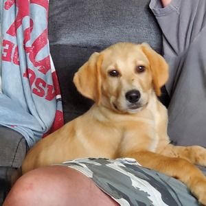 Meet your Posher, Teresa